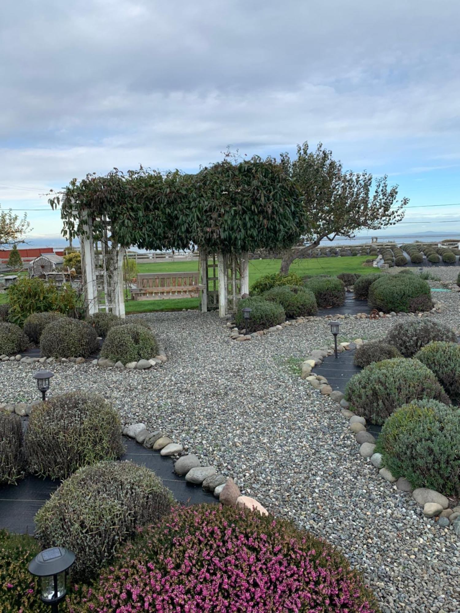 Dungeness Barn House Bed And Breakfast At Two Crows Farm سيكيم المظهر الخارجي الصورة