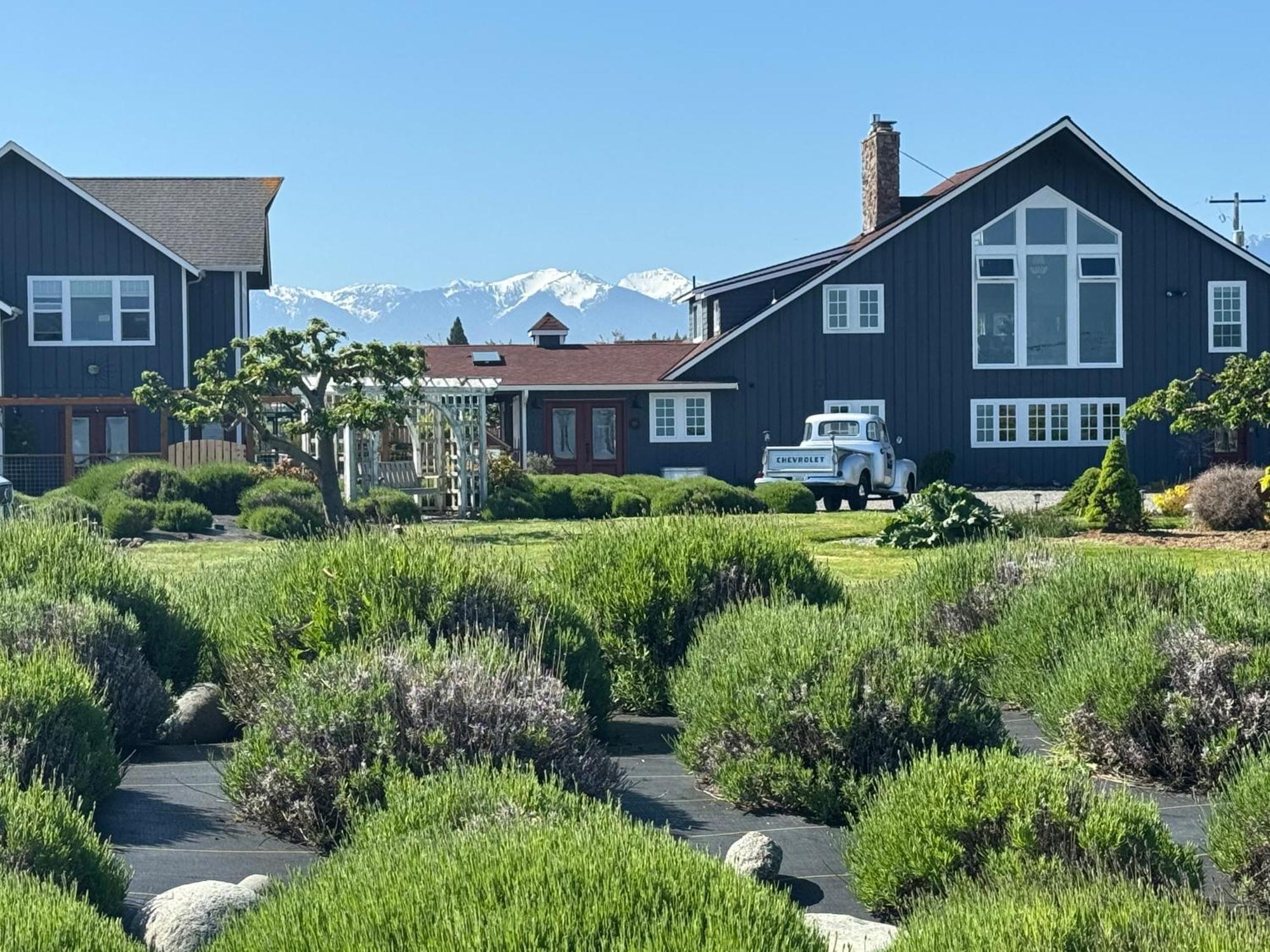 Dungeness Barn House Bed And Breakfast At Two Crows Farm سيكيم المظهر الخارجي الصورة